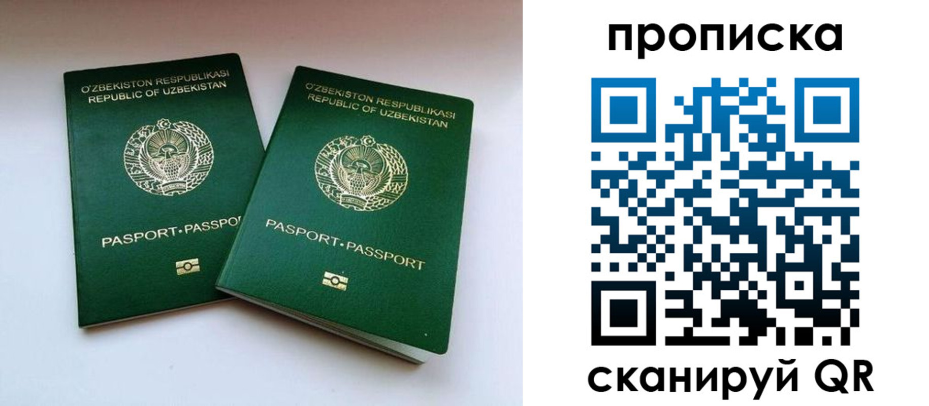 прописка поиск в Новокузнецке